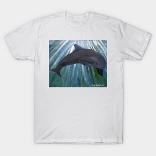 Dolphin T-Shirt